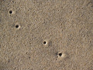  Sandy background texture with air holes from sand crabs 