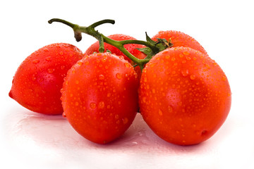  tomatoes on a white background in drops of water.