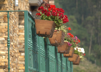 Maceta con flores