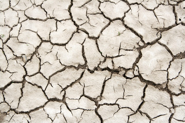 Cracked soil background
