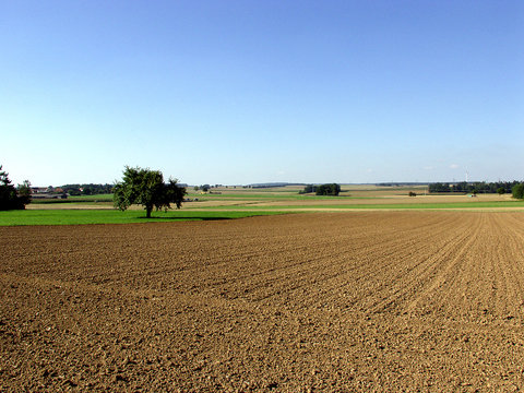 Landwirtschaft