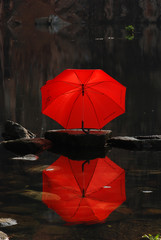 red color umbrella at the pond side