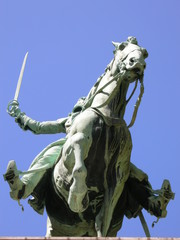 Fototapeta premium chevalier2