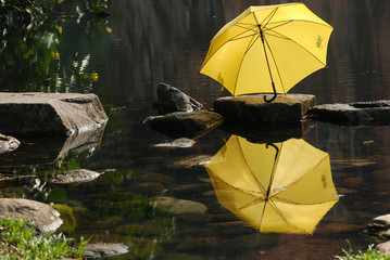 yellow color umbrella at the pond side