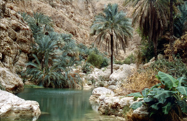 Szene im Wadi Shab - obrazy, fototapety, plakaty