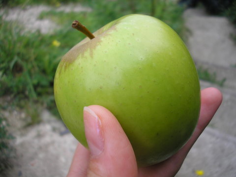 green appple