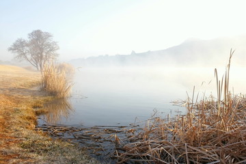 Misty lake