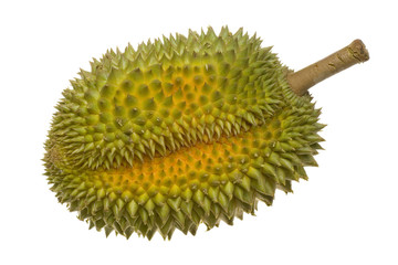 Single whole durian isolated on white background..