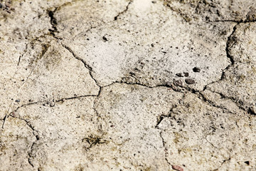 Dry ground with long cracks