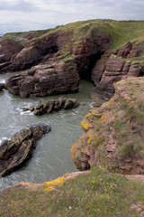 Seagulls at Seaton cliffs, Arbroath Scotland