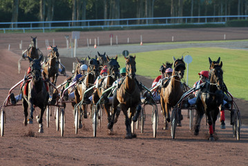 course hippiques de trot