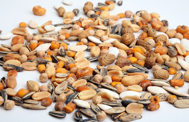 assortement of nuts on white background