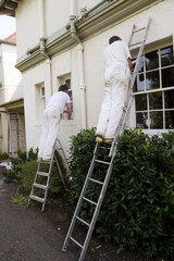 Two painters decorating the exterior of a house.