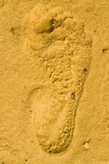 Fototapeta na wymiar Footprint