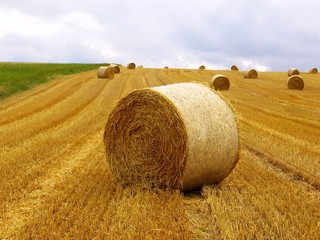 straw afield 