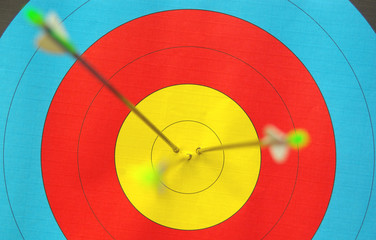 target and arrows, focus in target