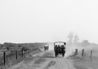 Horse carriage