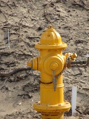 Yellow Fire Hydrant