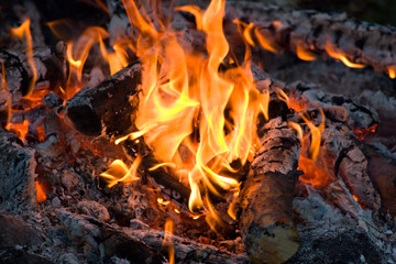 Close up of an campfire at night