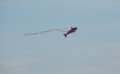 Fish Kite