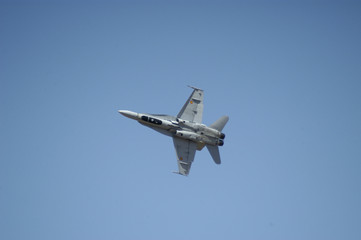 Fototapeta na wymiar Chodzenie F-18-255
