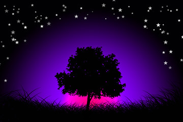 lonley tree by night © FotoDesignPP