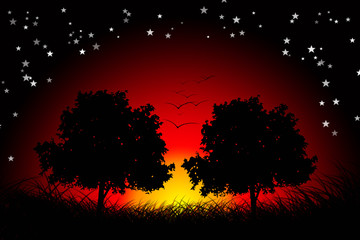 Liebesbäume in der Sonne © FotoDesignPP