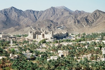 Fototapeta na wymiar Oase im Oman