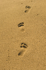 Fototapeta na wymiar Kroki na piasku plaży