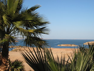 lac nasser