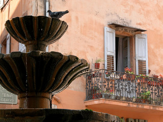 Grasse
