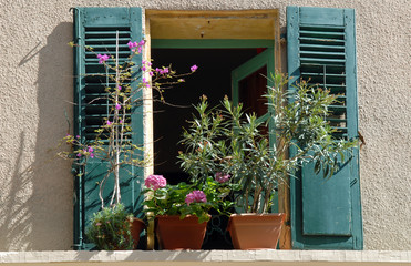 Fototapeta na wymiar Fenster in Bormes les Mimosas
