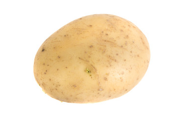 Potato