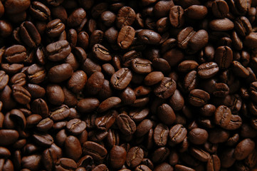 A close up shot of fresh whole coffee beans