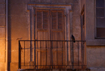 Fototapeta na wymiar Altes Fenster mit Taube in Le Lavandou