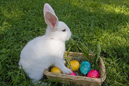 Uff, das ist Osterhasenschwestarbeit
