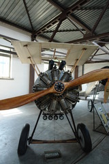 old timer