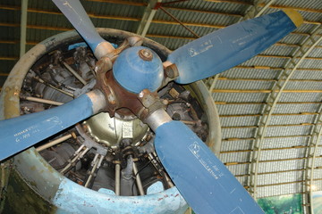 propeller