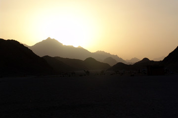 Sonnenuntergang in der Wüste