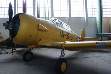 fighter