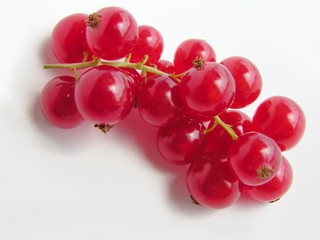 red currant cluster