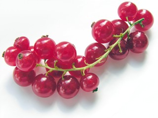 cluster of red currant