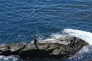 roca 