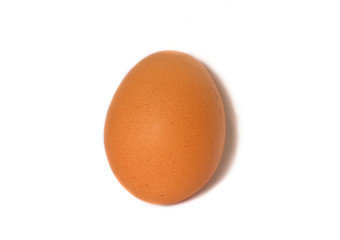 egg