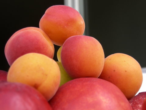 รูปภาพFrut – เลือกดูภาพถ่ายสต็อก เวกเตอร์ และวิดีโอ848 | Adobe Stock