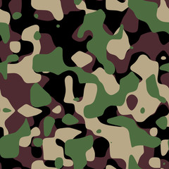 CamouFlage