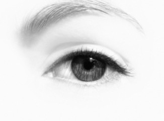 auge