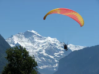 Rolgordijnen parachute © dinostock