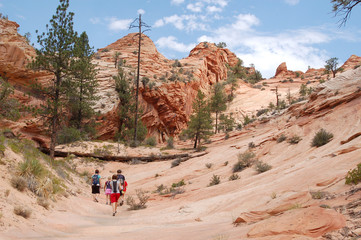 A group hikes in the red rock area of the southwest USA.