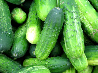 cucumbers